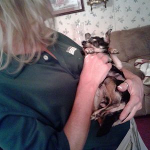 Meet your Posher, Susan